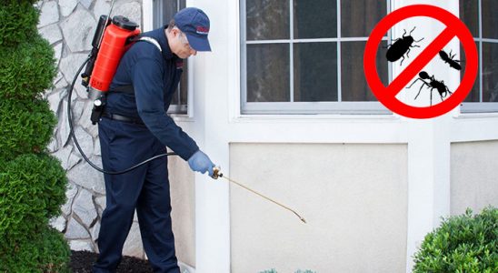 Hopa Böcek ve Haşere İlaçlama böcek ilaçlama ve haşere kontrolü — ilaclama-tr.com